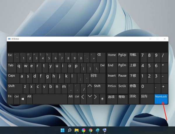 win11小鍵盤打不出數(shù)字解決方法？win11小鍵盤打不出數(shù)字問題解析