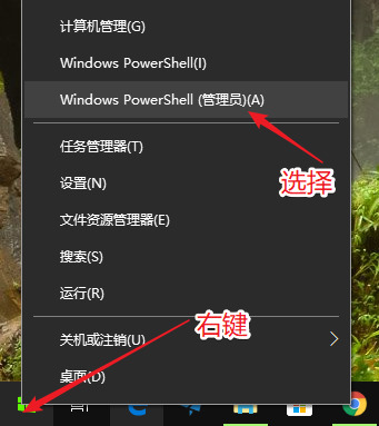 win11΄(w)O(sh)ÙWôkwin11΄(w)ܙW˽Q