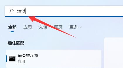 win11νԎIPwin11ԎIP̳