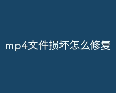 mp4ļpôޏ(f)Ԕ