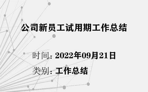 公司新員工試用期工作總結(jié)
