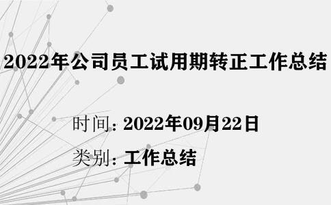 2022年公司員工試用期轉(zhuǎn)正工作總結(jié)