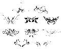 10(jng)䌍õGOMEDIAʸDy