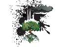 һ(yng)h(hun)Ⱦ}Ĳ宋(hu)زʸD