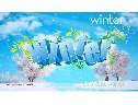 winterˇg(sh)ֺͶñزʸD