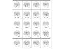 NGRAPHIC^ʸD(bio)