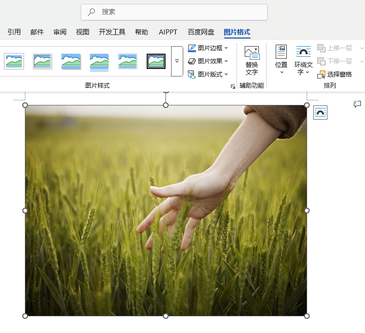 Word2024如何自動(dòng)按4：3進(jìn)行裁剪？Word2024按4：3進(jìn)行裁剪的方法第1步