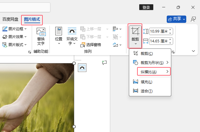 Word2024如何自動(dòng)按4：3進(jìn)行裁剪？Word2024按4：3進(jìn)行裁剪的方法第2步