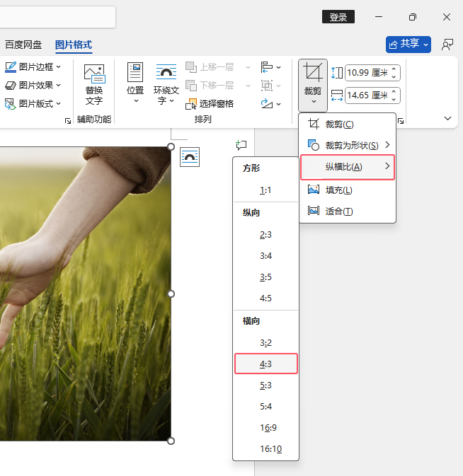 Word2024如何自動(dòng)按4：3進(jìn)行裁剪？Word2024按4：3進(jìn)行裁剪的方法第3步