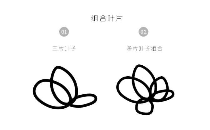 ai怎么畫多肉植物插畫第2步