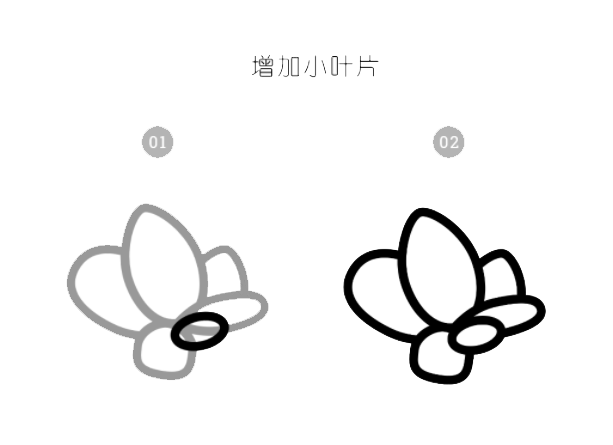 ai怎么畫多肉植物插畫第4步