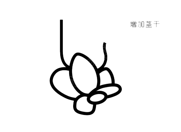 ai怎么畫多肉植物插畫第5步