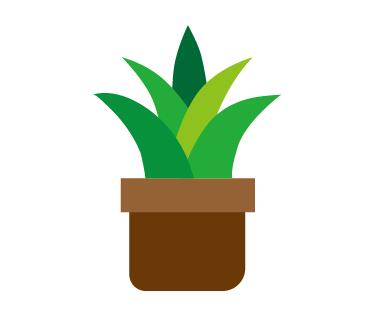 aiô(hu)JCD(bio)