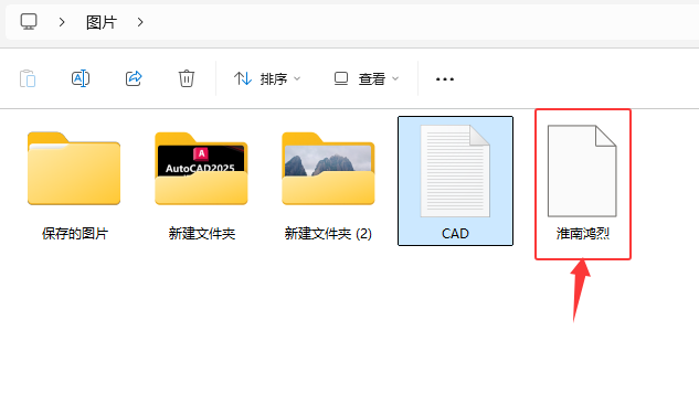CoreIDRAW2024ęnΌCPTʽļ6