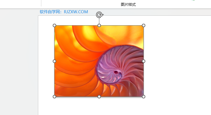 PPT怎么設(shè)置圖片向下偏移陰影效果
