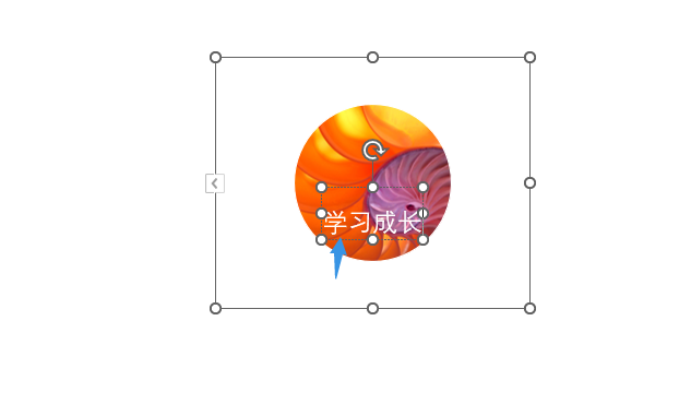 PPT圖片如何設(shè)置圓形圖片標(biāo)注效果