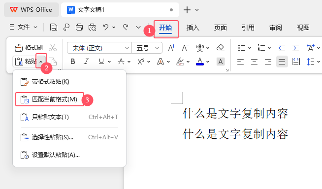 WPS Office如何運用粘貼匹配當前格式來粘貼內(nèi)容？第2步