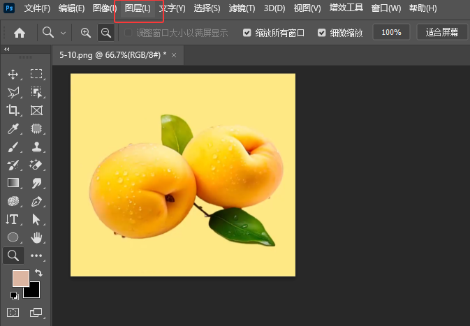 photoshop2024½Dôʹã