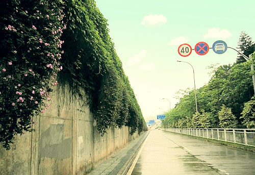Photoshop制作非主流色調(diào)的圖片第1步