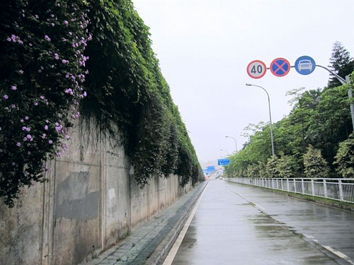 Photoshop制作非主流色調(diào)的圖片第2步