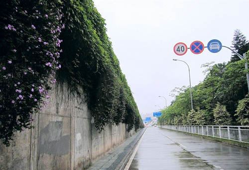Photoshop制作非主流色調(diào)的圖片第3步