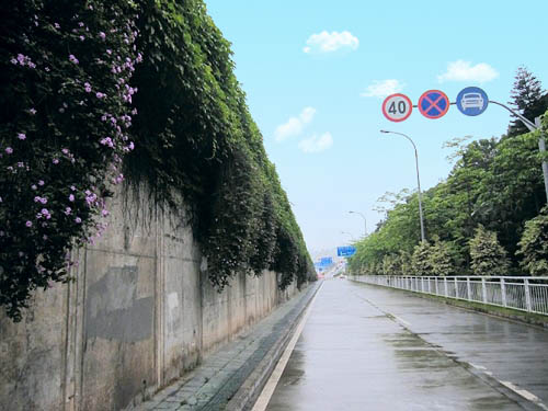 Photoshop制作非主流色調(diào)的圖片第6步