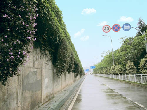 Photoshop制作非主流色調(diào)的圖片第7步