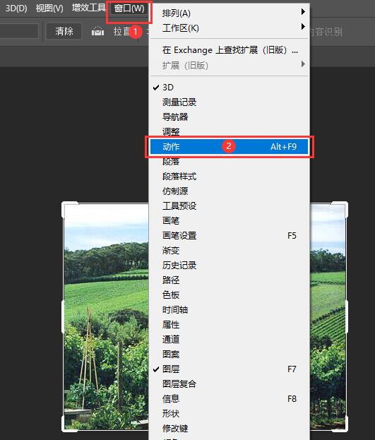 PhotoshopԂɫƬ5
